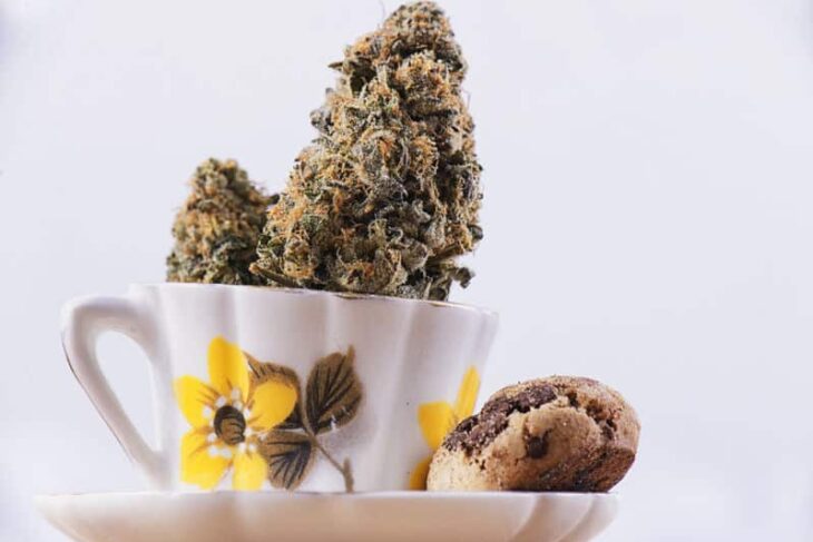Can You Make Your Own Cannabis Edibles at Home?