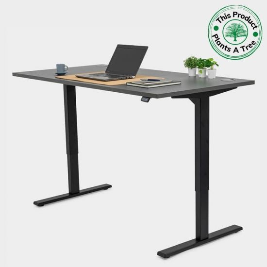 buy standing desk
